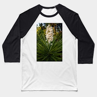 Blooming Yucca tree at sunset Baseball T-Shirt